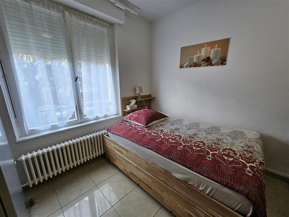 Appartement Immostrasbourg - Hebergements De Tourisme Classes Proche Centre Et Conseil D'europe *